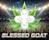 Blessed Goat