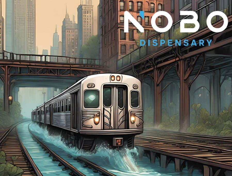 NOBO Lakemoor listing banner