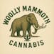 Woolly Mammoth Cannabis
