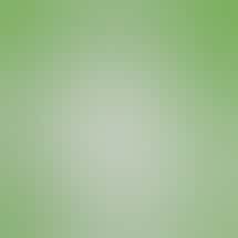 The Daily Green