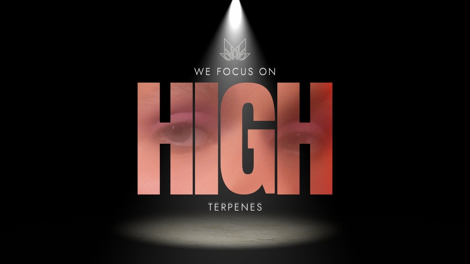 Terpa listing banner