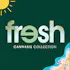 Fresh Cannabis Collection