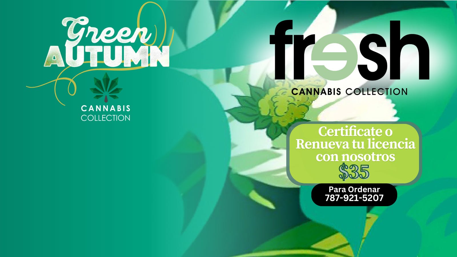 Fresh Cannabis Collection listing banner