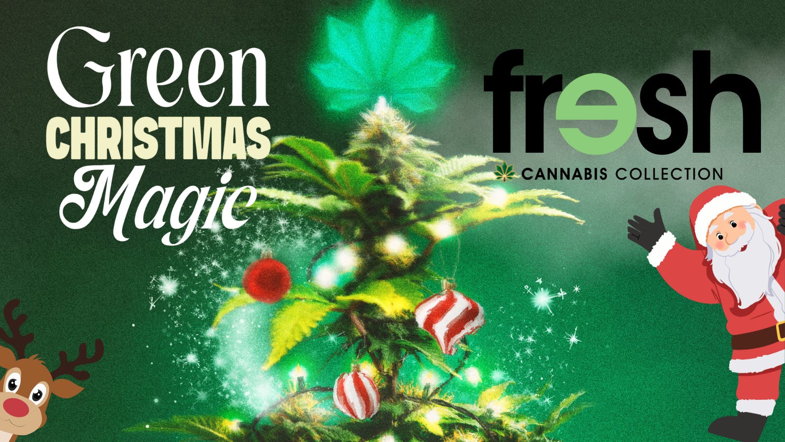 Fresh Cannabis Collection listing banner