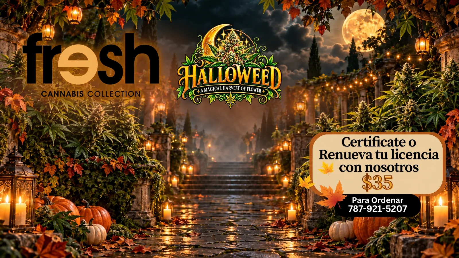 Fresh Cannabis Collection listing banner