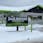Jailhouse Cannabis - Kalkaska