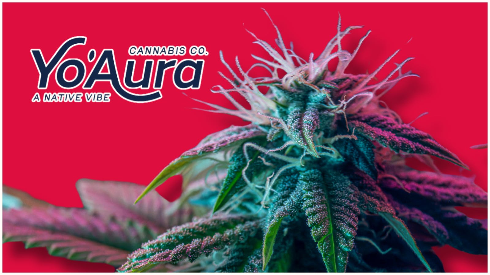 Yo'Aura listing banner