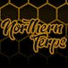 Northern Terps