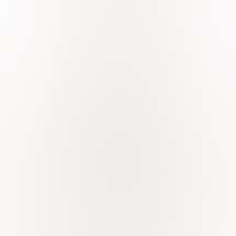 Timber Cannabis Co - New Buffalo