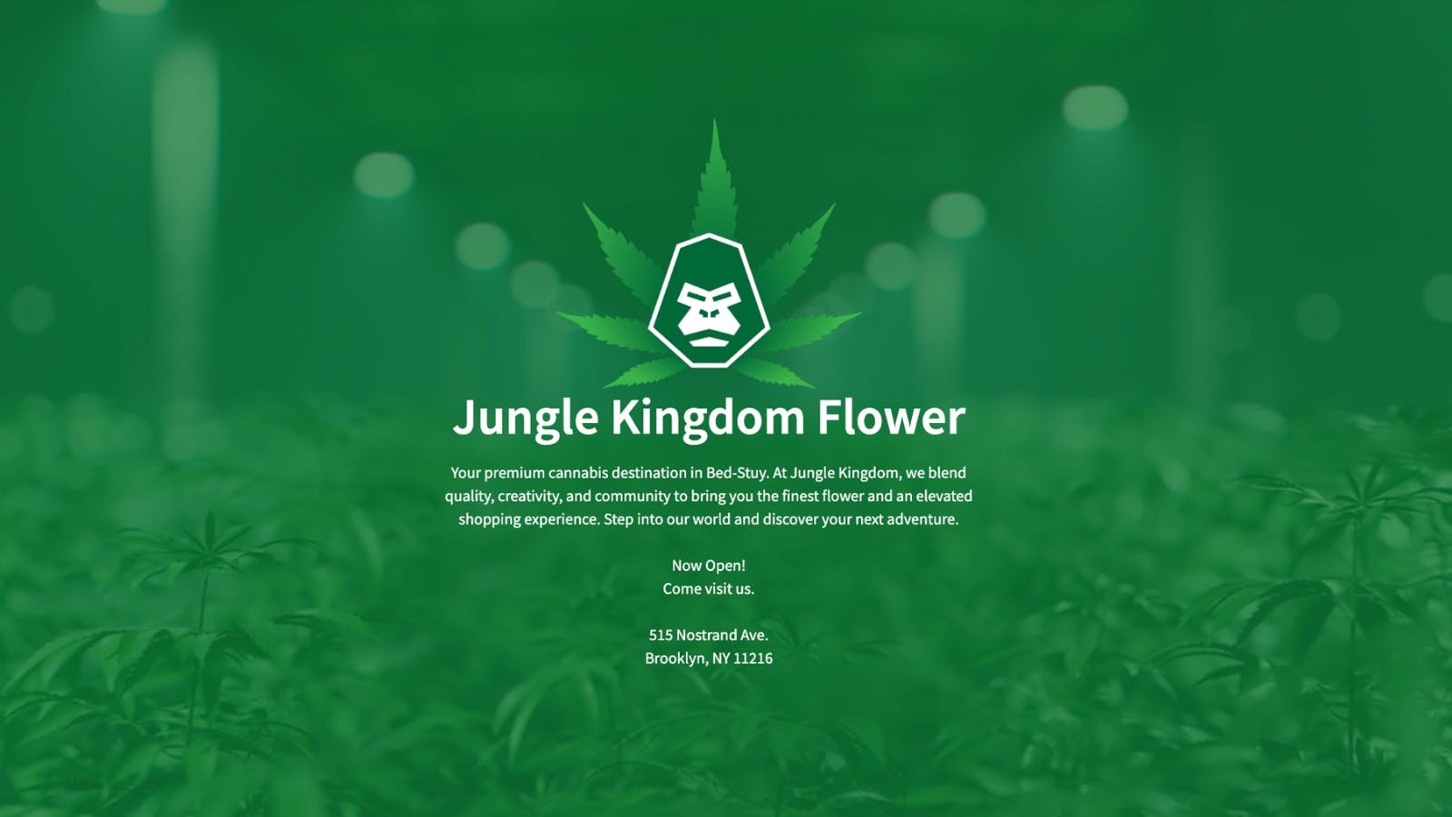 Jungle Kingdom Flower Co. listing banner