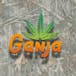 Ganja