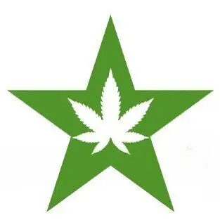 Star Buds - Bellingham