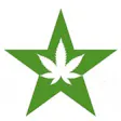 Star Buds - Bellingham