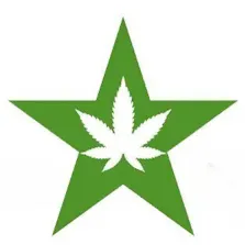 Star Buds - Bellingham