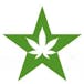 Star Buds - Bellingham