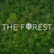 The Forest Baltimore