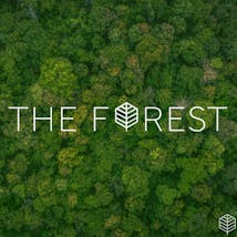 The Forest Baltimore