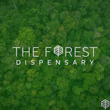 The Forest Baltimore