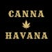 Canna Havana