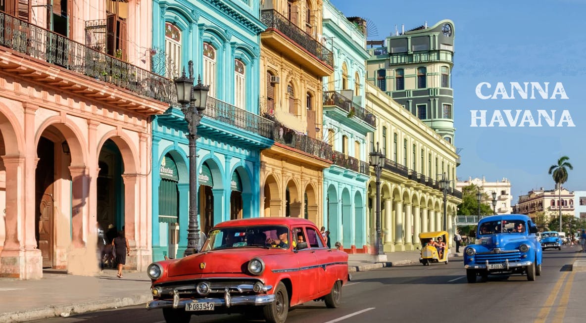 Canna Havana listing banner