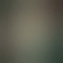 Terrace Cannabis - Moline