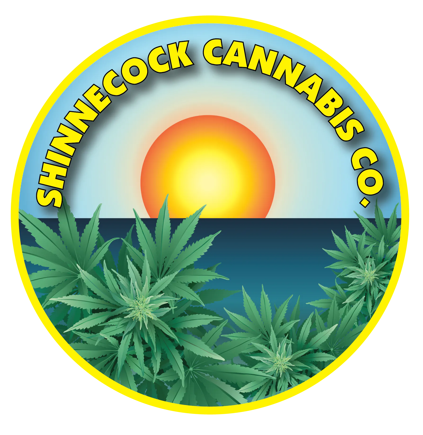 Shinnecock Cannabis Company