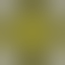 Bud & Honey Dispensary