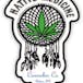 Native Medicine Chelsea