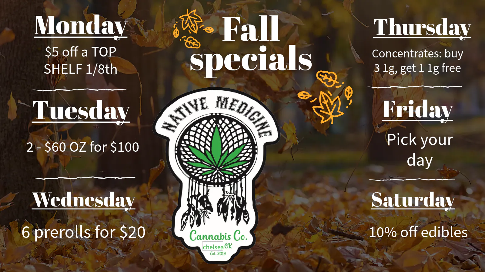 Native Medicine Chelsea listing banner