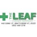The Leaf