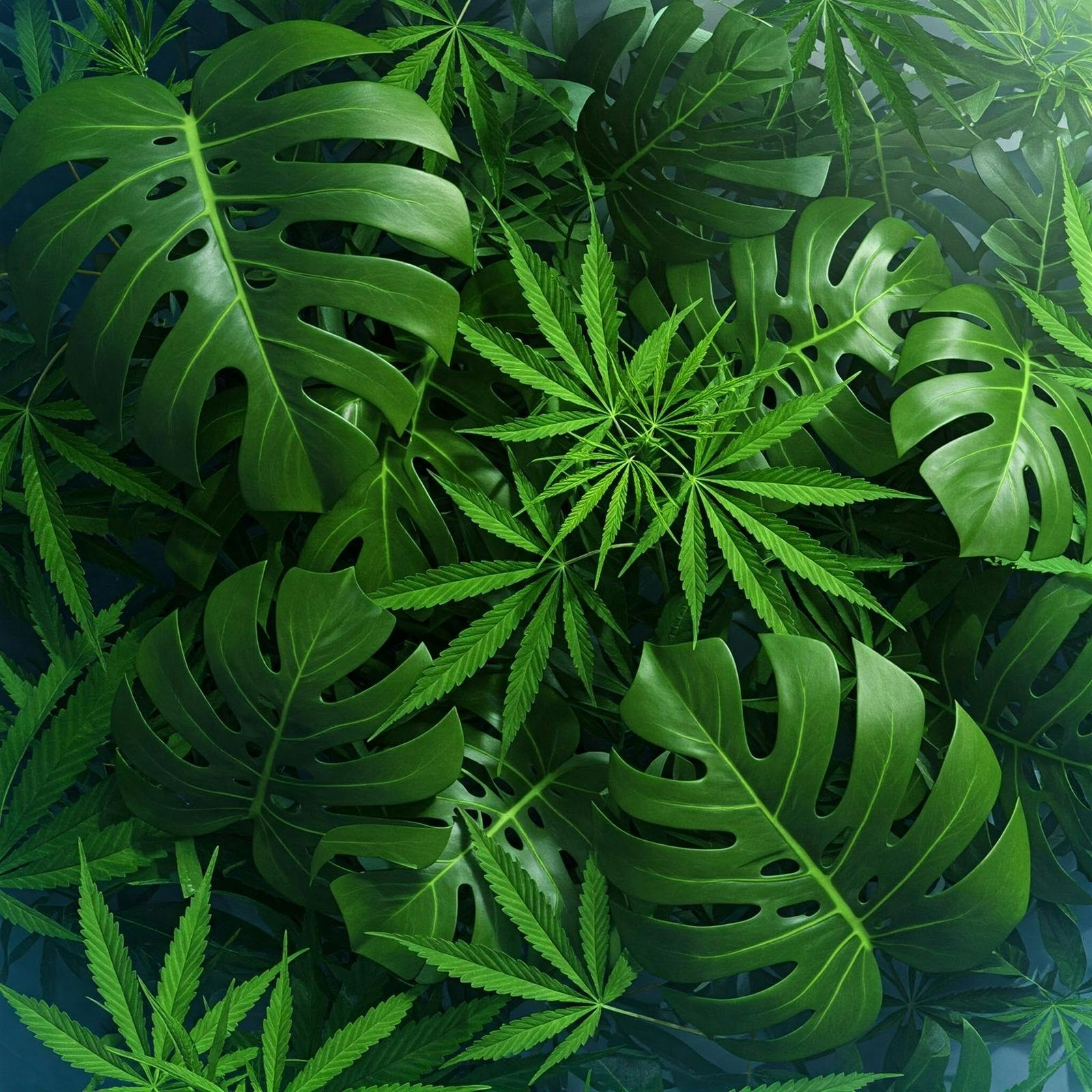 The Leaf listing banner