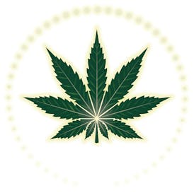 BudHub Cannabis