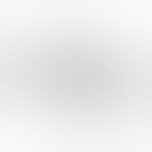 High Profile - Holland