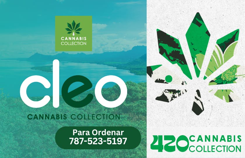 Cleo Cannabis Collection listing banner