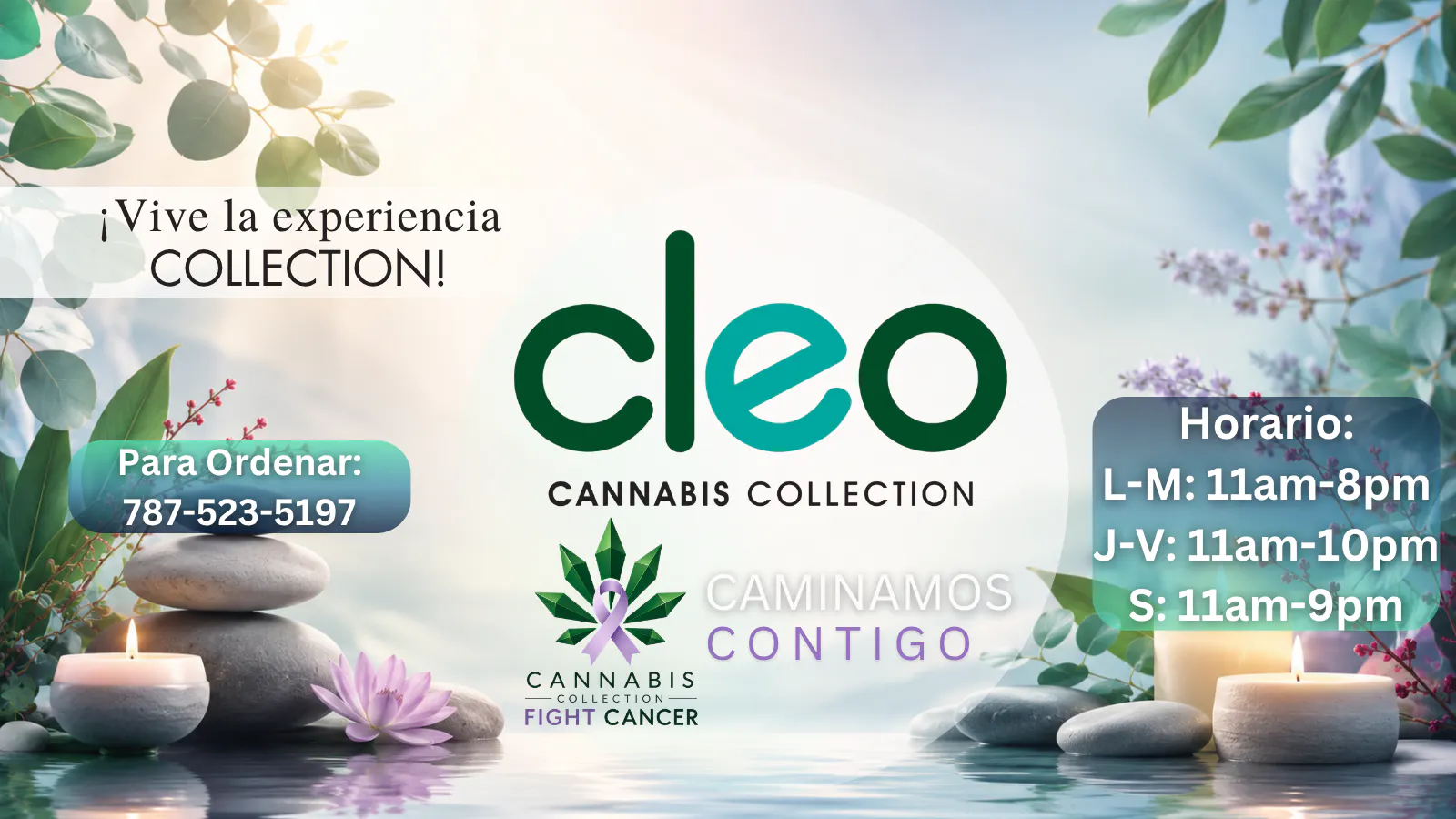 Cleo Cannabis Collection listing banner