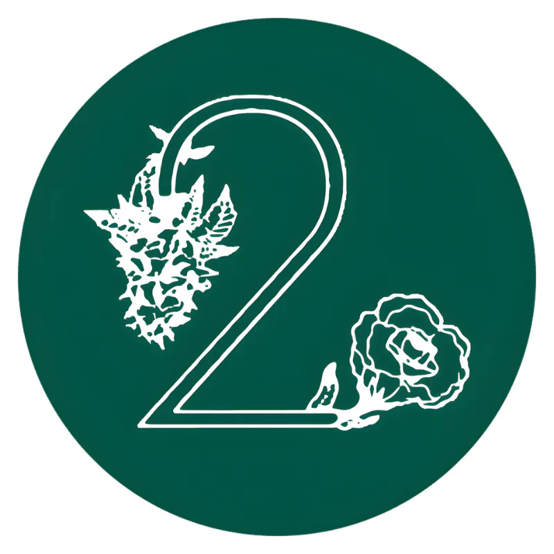 Bud 2 Bloom Dispensary
