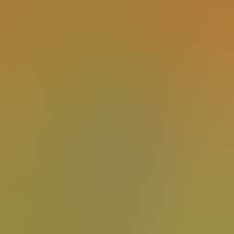 Ash Express Dispensary & Smoke Shop