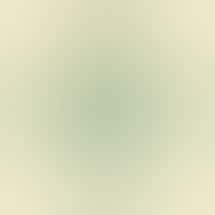 Grove Cannabis Company (Delivery Available)