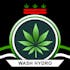 Wash Hydro Medical Cannabis Dispensary