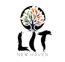 Lit New Haven