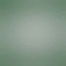 420 Flower Factory (NOW OPEN)