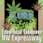Nature's Cure Dispensary