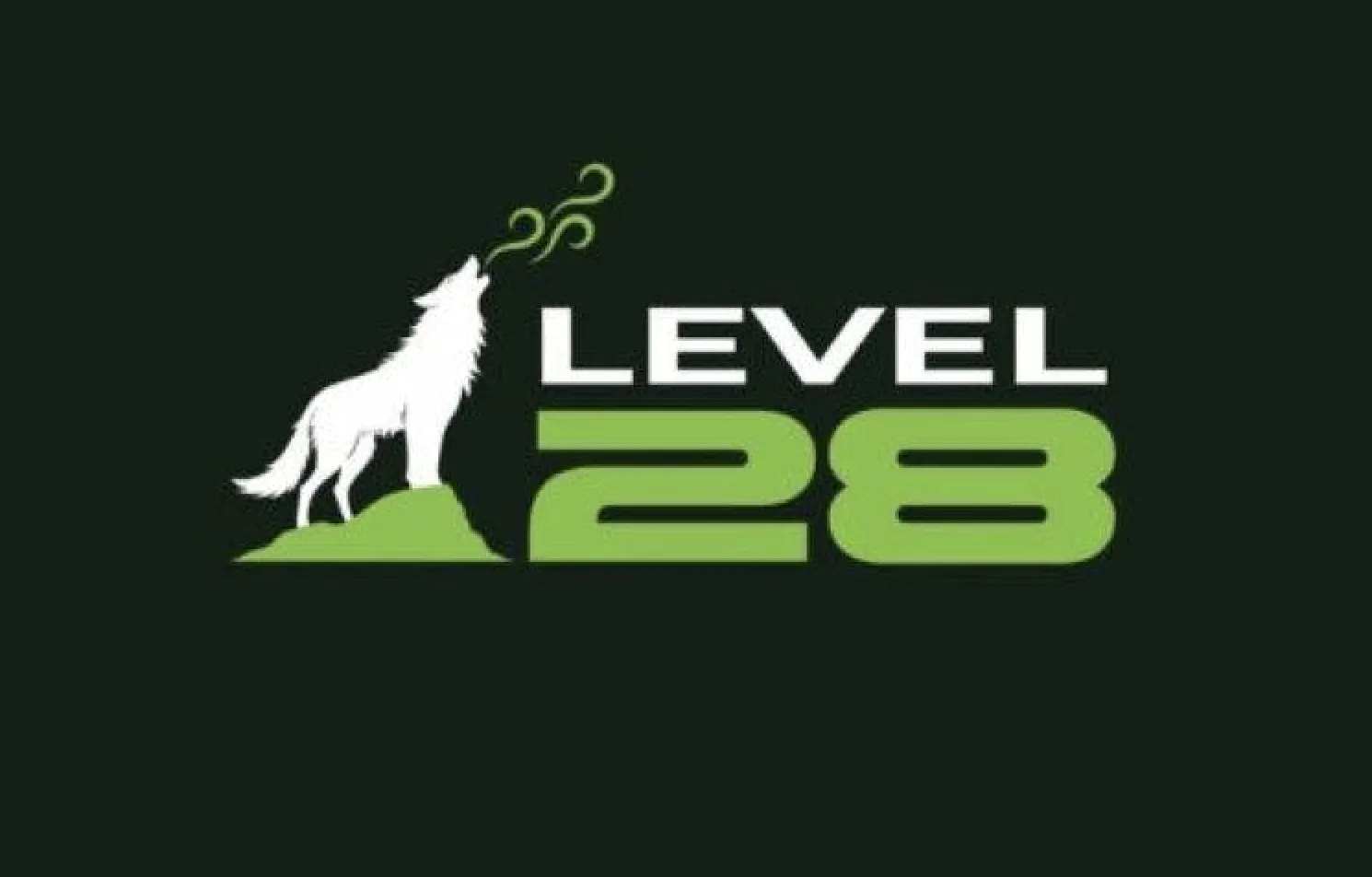 Level28