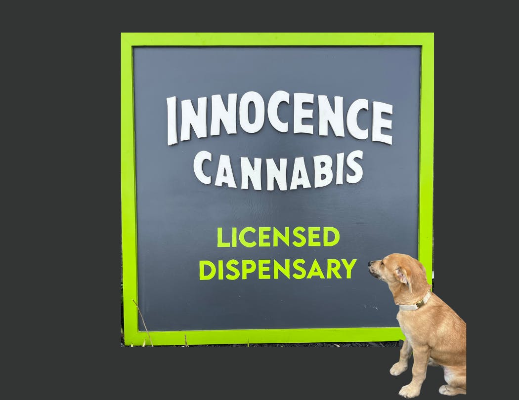 Innocence Cannabis listing banner