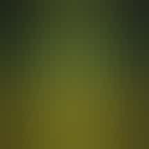 Buzz Cannabis - Wildomar