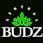 Central Budz