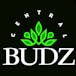 Central Budz