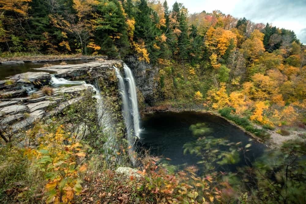 Salmon River Cannabis Company listing banner