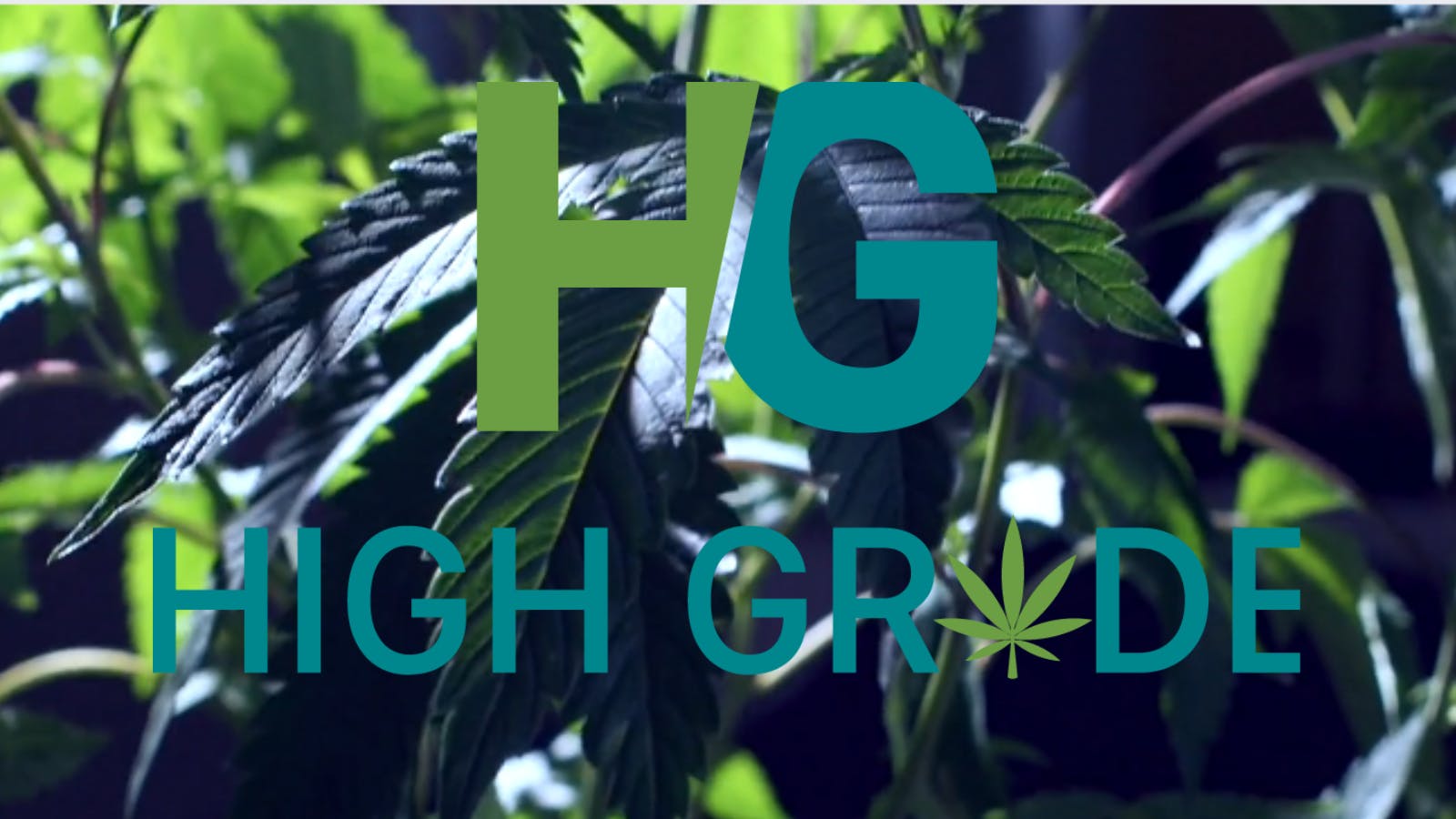 High Grade - Atlanta listing banner