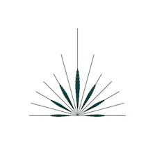 Georgetown Dispensary
